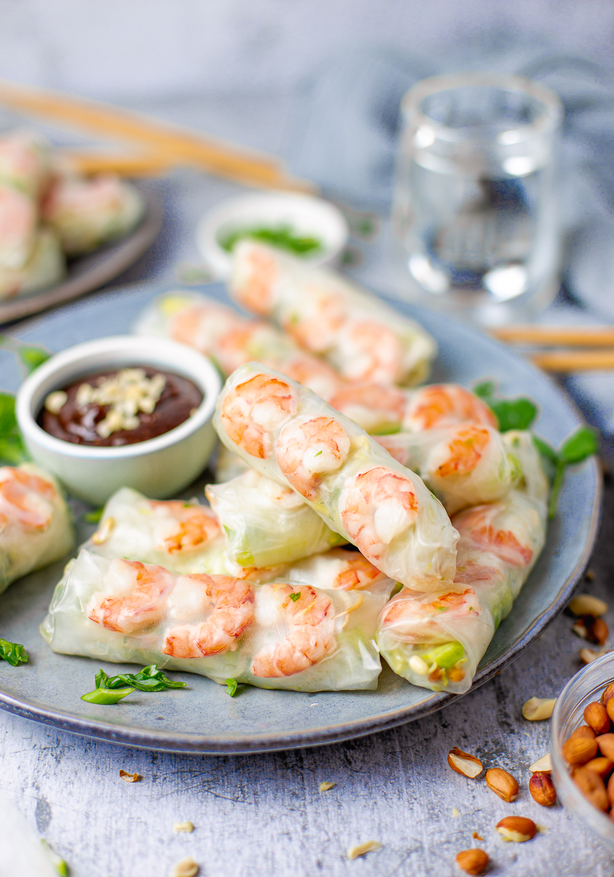 Side view of Vietnamese Salad Rolls on plate with dipping sauce