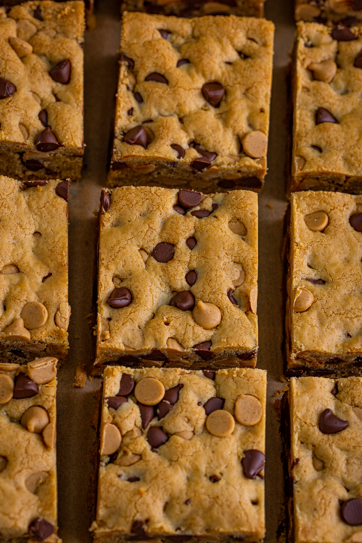 Overhead photo of cut Peanut Butter Chocolate Chip Cookie Bars.