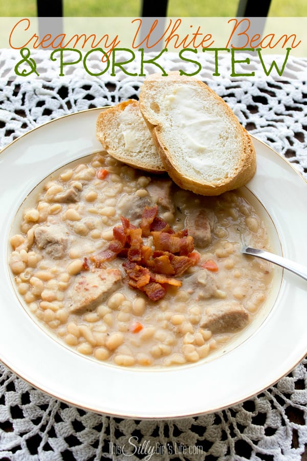 Creamy White Bean and Pork Stew, perfect for a chilly day! Large chunks of tender pork cooked with navy beans bursting with layers of flavor! Serve it with warm crusty bread and lots of butter, you'll be in Heaven! Oh yea, there's BACON too! Recipe from https://ThisSIllyGirlsLife.com