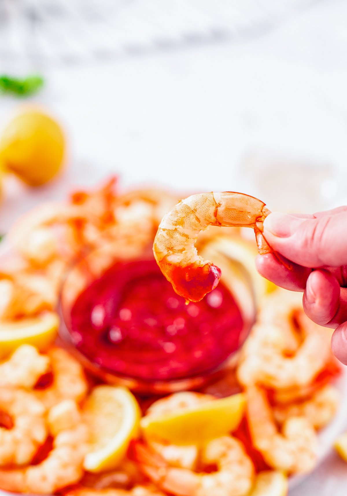 Hand holding up one shrimp dipped in cocktail sauce.