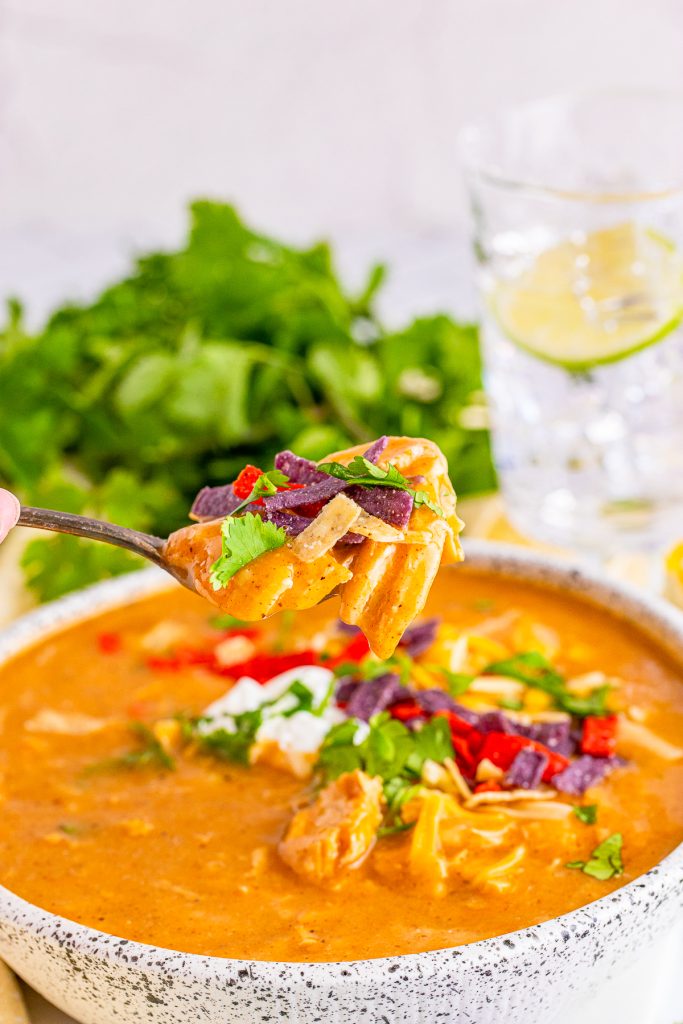 Copycat Chili's Chicken Enchilada Soup