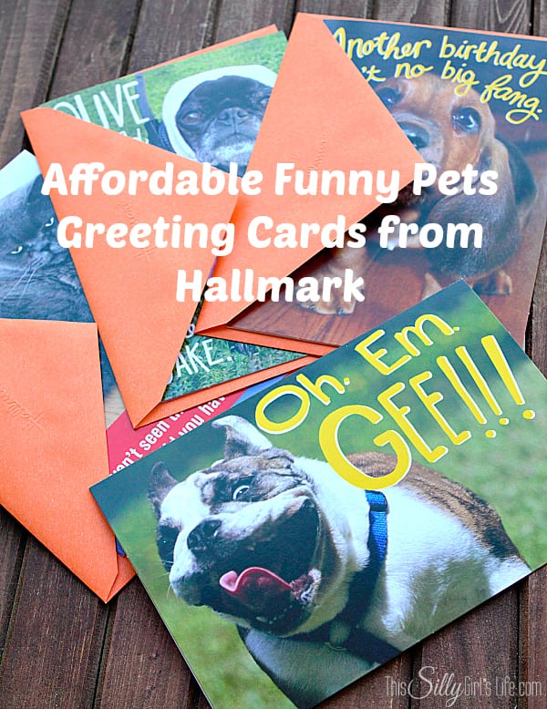 Affordable Funny Pets Greeting Cards from Hallmark, #FunnyPetCards #shop