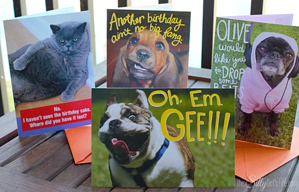Affordable Funny Pets Greeting Cards from Hallmark, #FunnyPetCards #shop