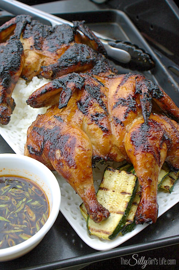 #ad Sweet Ginger Asian Chicken Marinade, Cornish hens marinaded in a mixture of ginger, honey, green onions and soy, grilled slowly and served with a sweet and spicy dipping sauce. #Grill4Flavor #shop