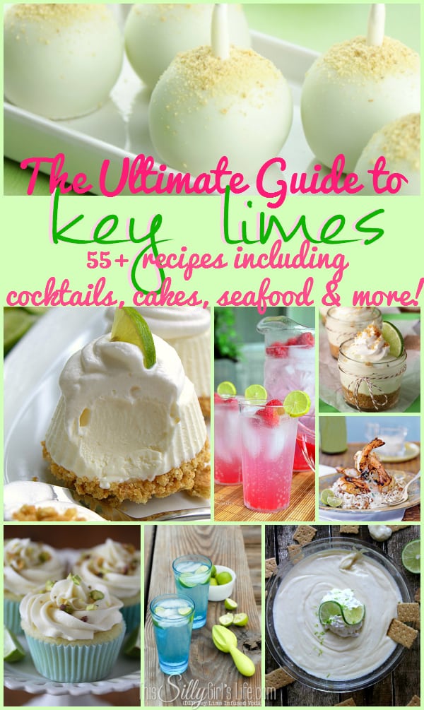 The Ultimate Guide to Key Limes: 55+ Recipes including cocktails, cakes, seafood and more!