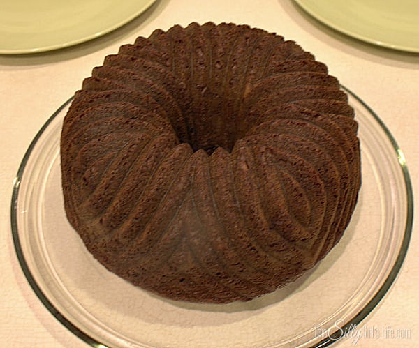 Preheat oven to directions on back of cake mix. Mix all ingredients until combined, 2 minutes. Spoon into bundt cake pan and let cook to directions on back of package. Let cake cool on wired rack for 10 minutes then take cake out of the pan and on the wire rack to cool completely. 