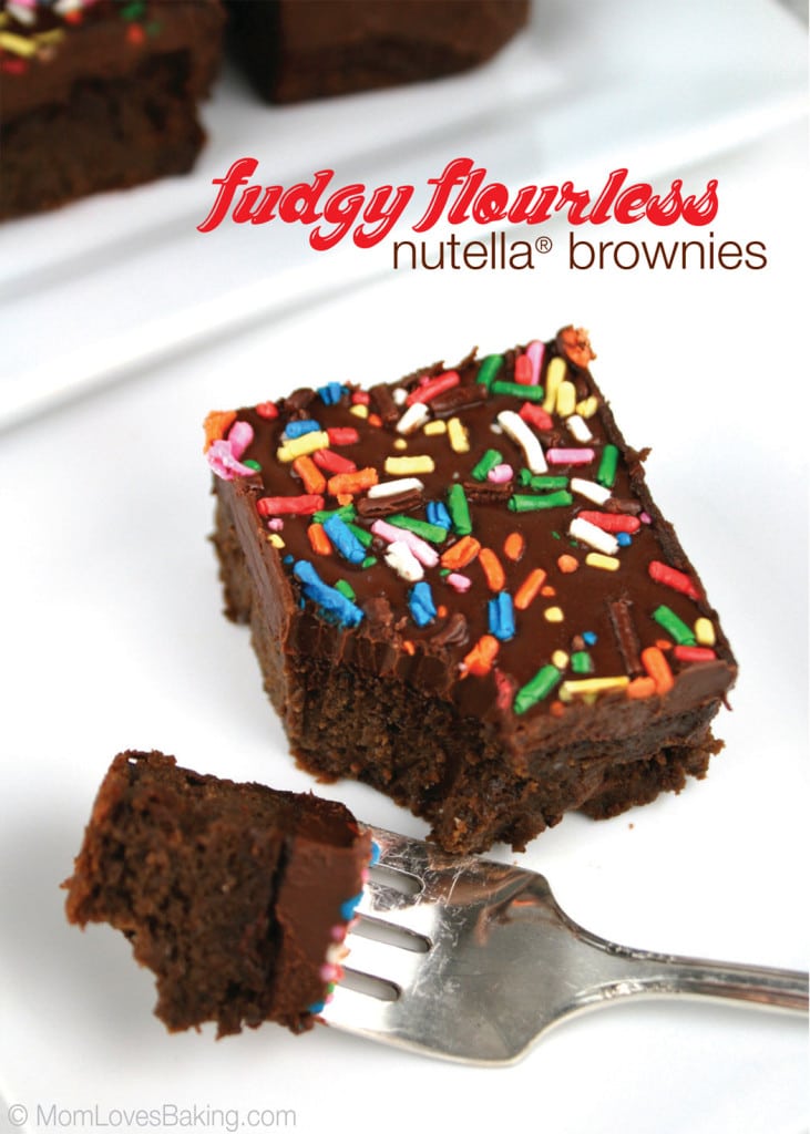 Fudgy Flourless Nutella® Brownies, the name says it all.. WOW!