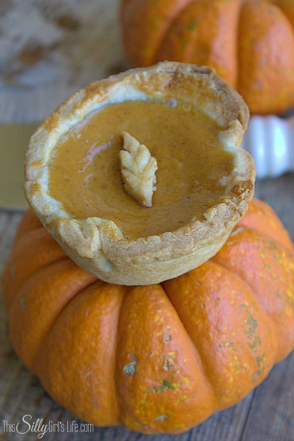 Mini Pumpkin Pie Cups, classic individual pumpkin pies perfect for gatherings or a fun fall treat! - ThisSillyGirlsLife.com