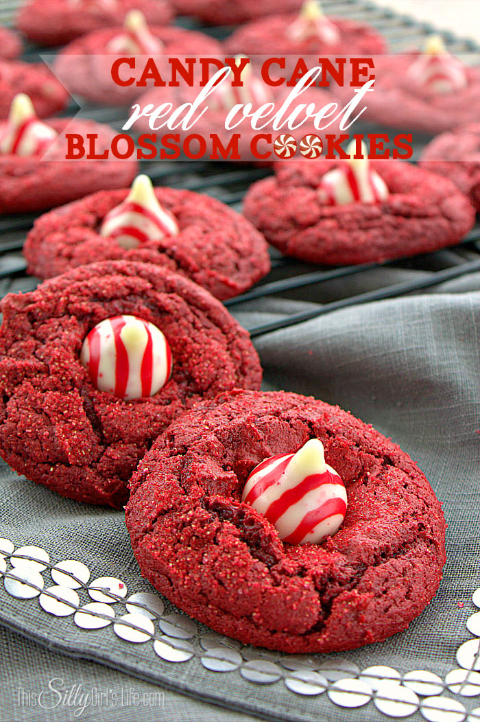 Candy Cane Red Velvet Blossom Cookies, soft and chewy cake mix cookies decorated with candy cane kisses! - ThisSillyGirlsLife.com #BlossomCookies
