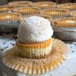 Easy Mini Pumpkin Cheesecake topped with whipped cream and a dusting of pumpkin spice.
