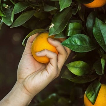 All About Decor and Organization