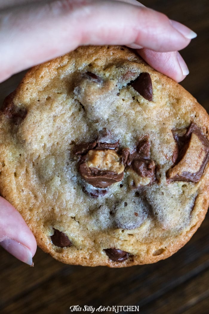 Hand holding one Reese's Peanut Butter Cup Cookie.
