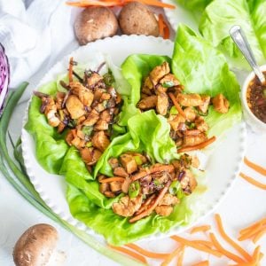Square image overhead of Chicken Lettuce Wraps on white plate