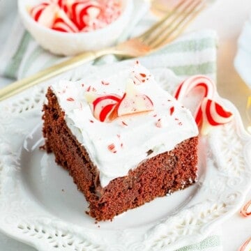 Chocolate Peppermint cake on white plate square image
