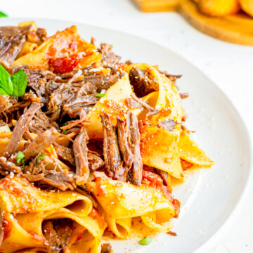 Short Ribs on plate served with noodles side view