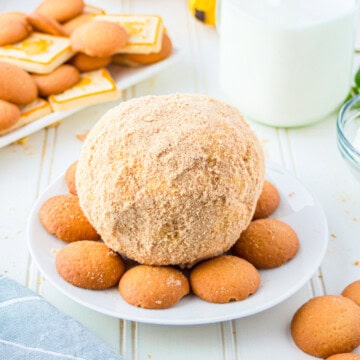 Finished Dessert Cheese Ball Recipe on plate square image
