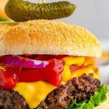 Close up side view of Cheseburger showing the burger and toppings