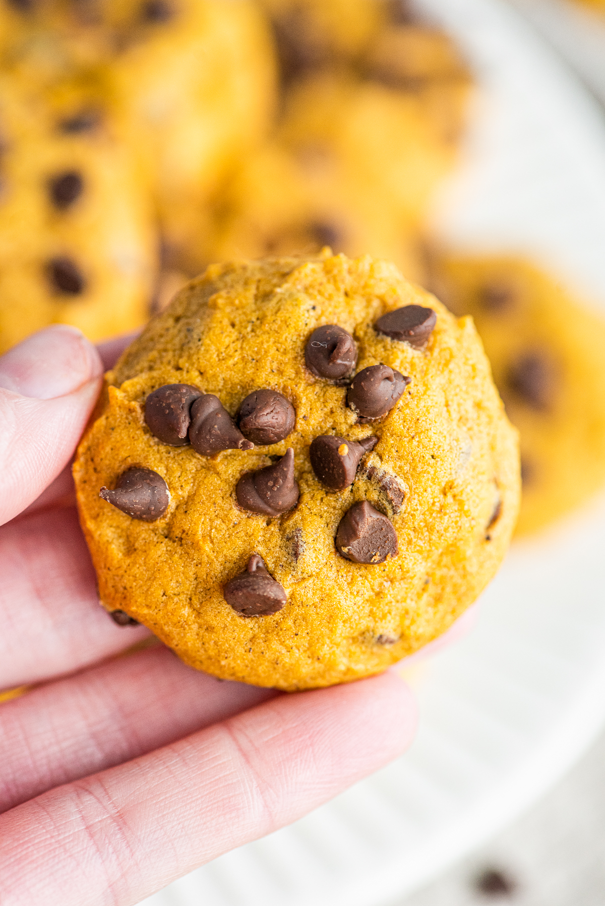 Hand holding on Pumpkin Chocolate Chip Cookie.