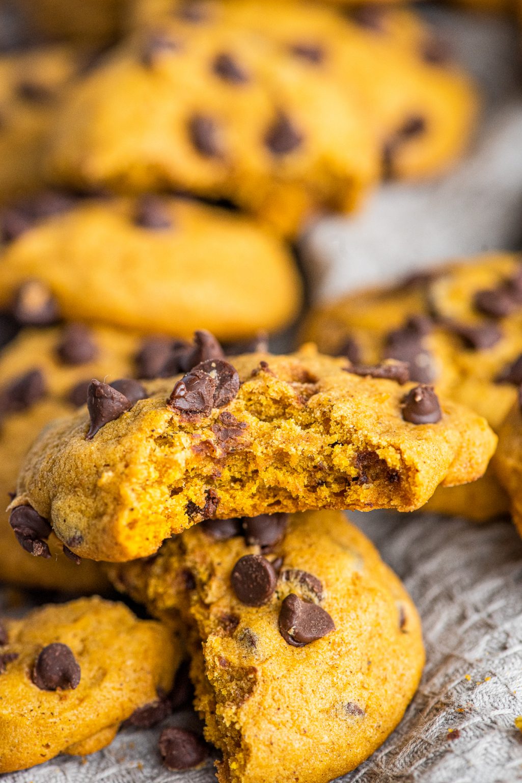 Pumpkin Chocolate Chip Cookie Recipe 4665