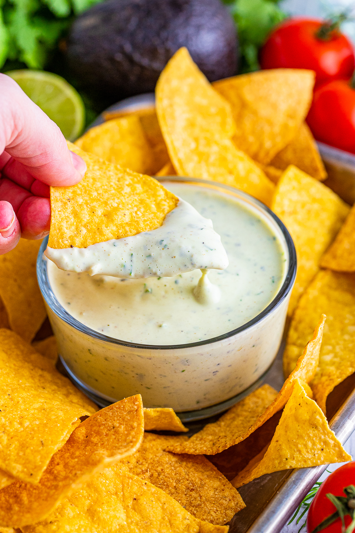 Hand holding up chip with some dip on it.