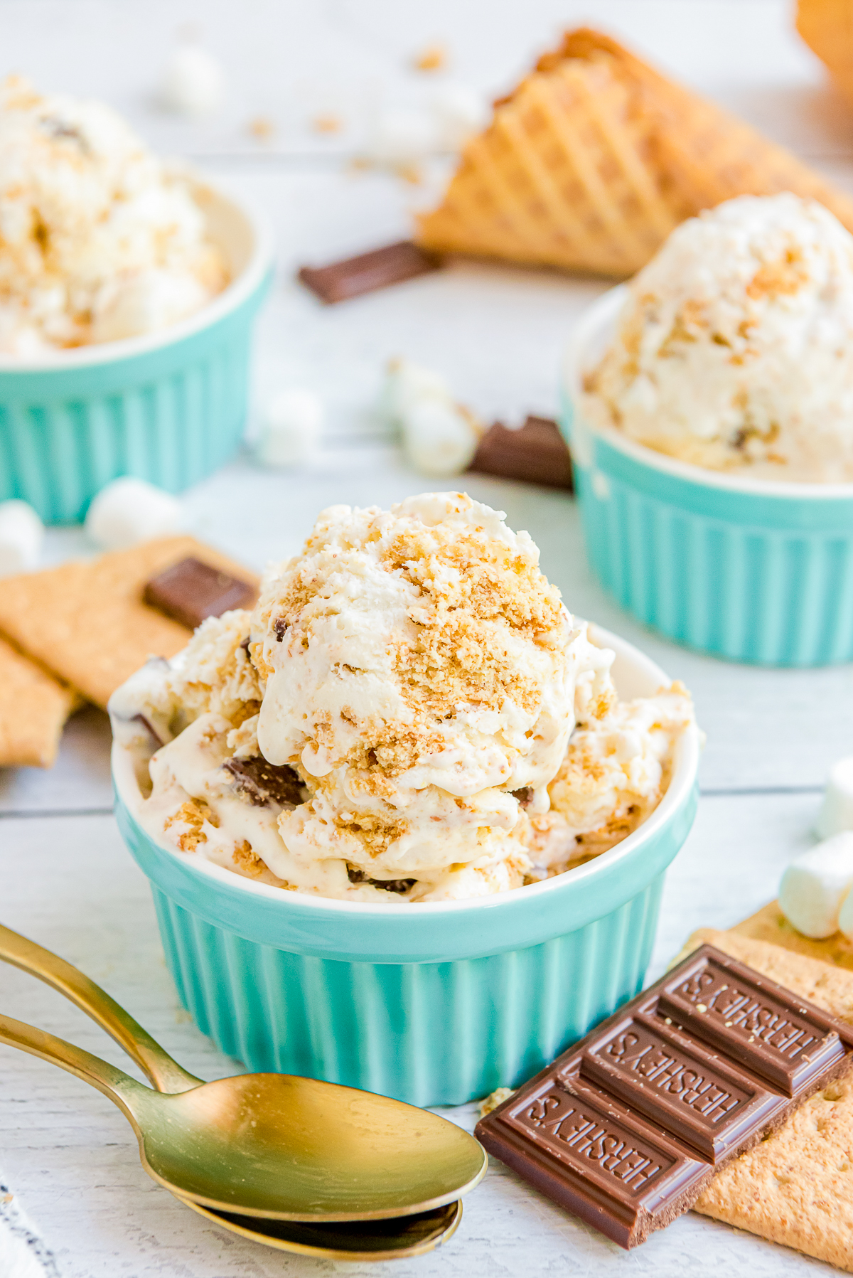 Mini bowls filled with S'mores Ice Cream.