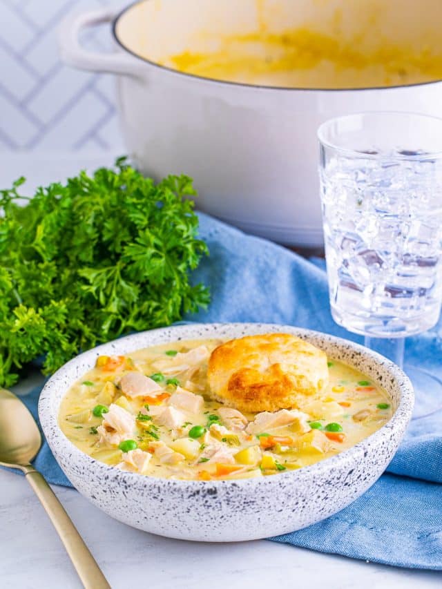 Chicken Pot Pie Soup Story This Silly Girls Kitchen 