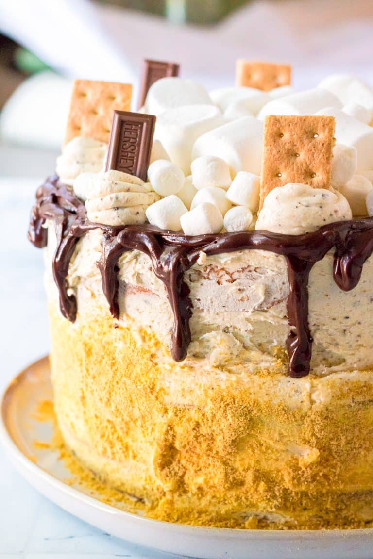 A tall s'mores cake on a cake stand with a chocolate ganache drip, toasted marshmallows, graham crackers, and chocolate squares on top.