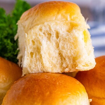 Close up of one stacked Dinner Roll on top of others.