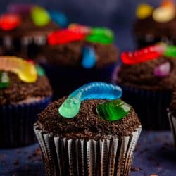 Close up of one of the finished Dirt Cupcakes showing the gummy worms.