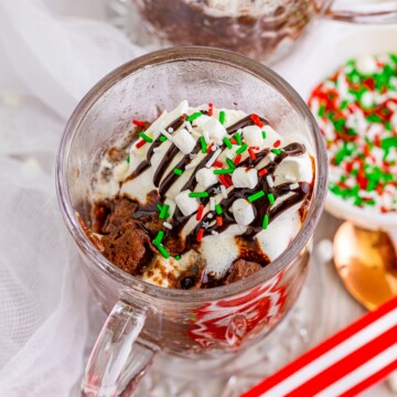 Overhead of a garnished Hot Chocolate Mug Cake.