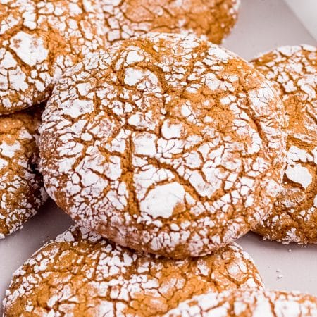 Close up of one cookie showing the powdered sugar and crinkles.
