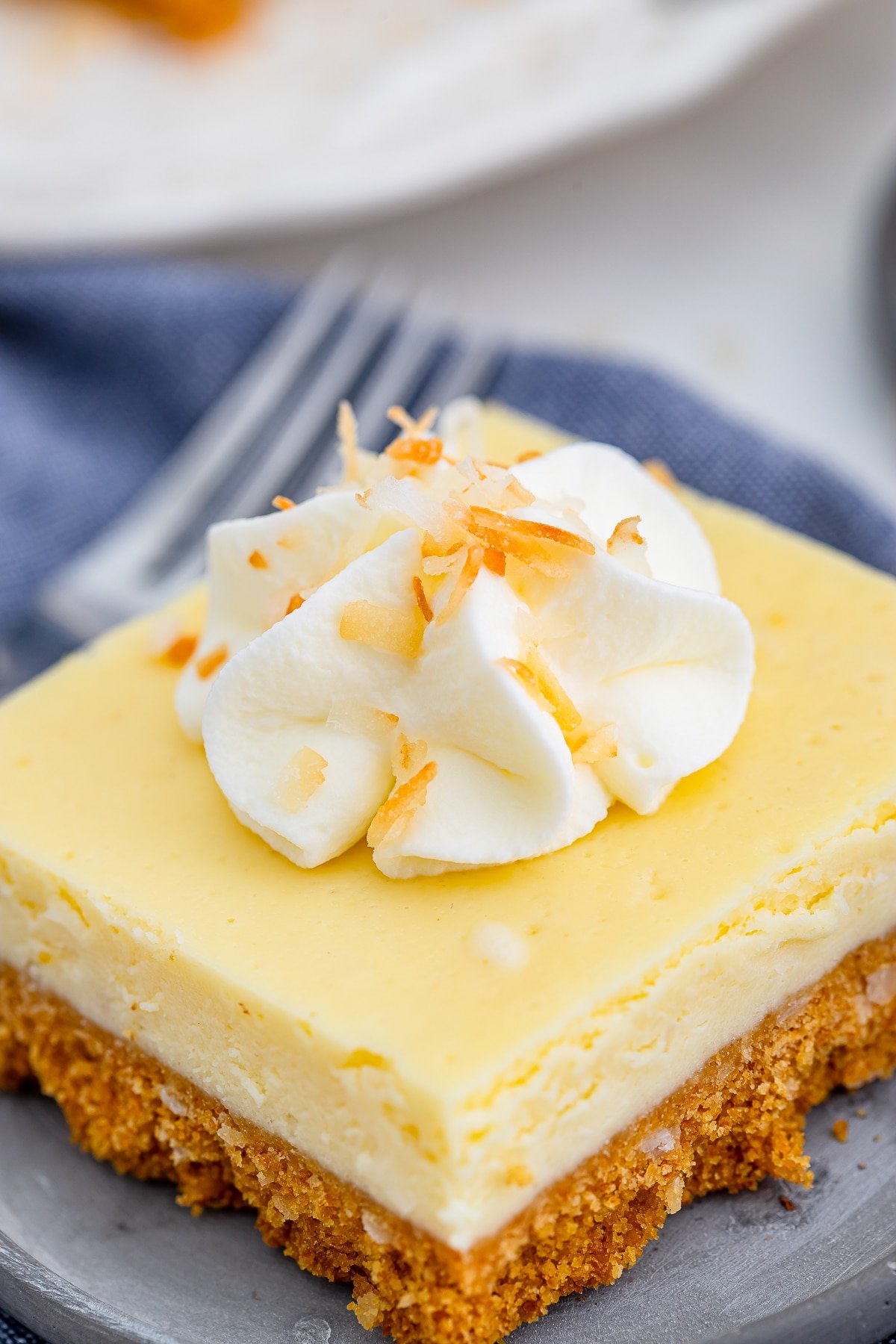 Upclose image of coconut cheesecake