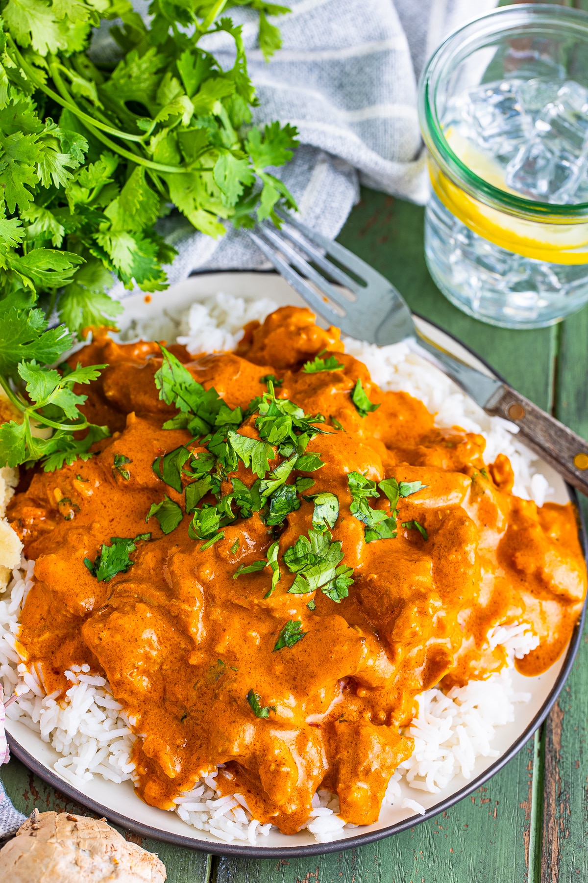 overhead image best butter chicken recipe over rice