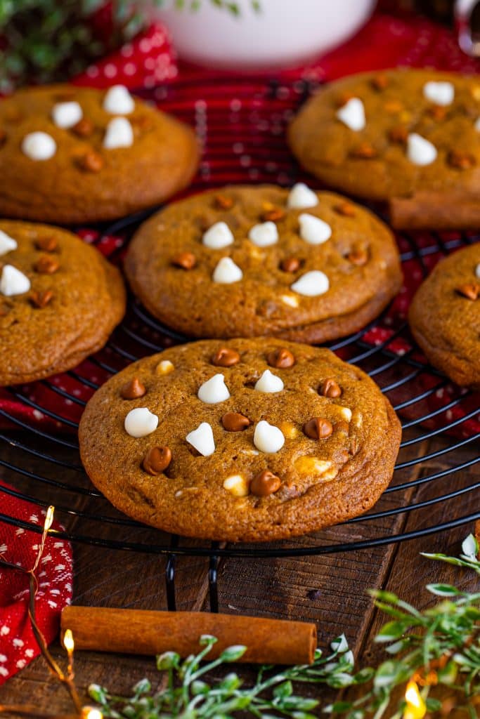 soft gingerbread cookies {in a cake pan} - ChinDeep