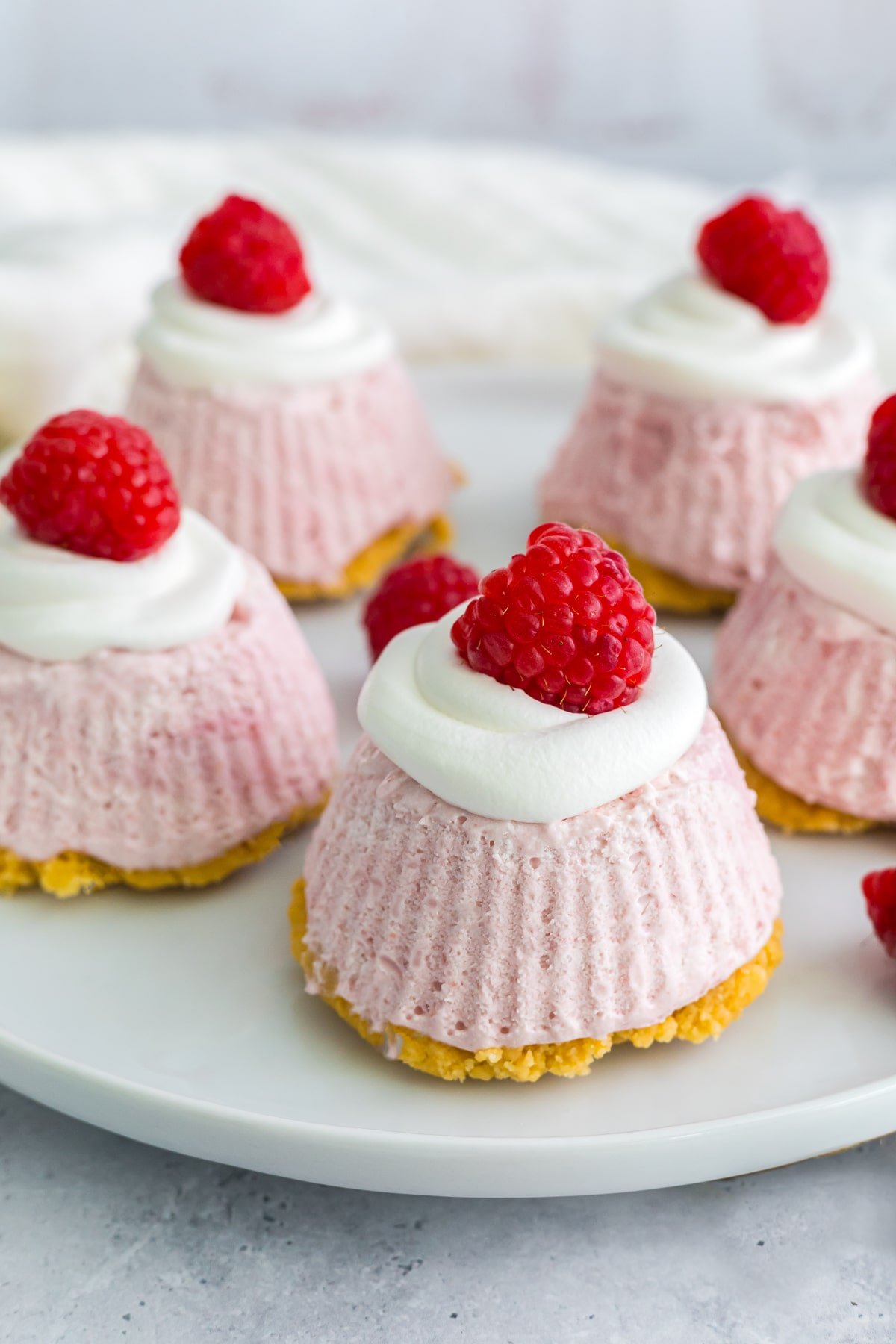 mini no bake oreo cheesecake on white plate with raspberry