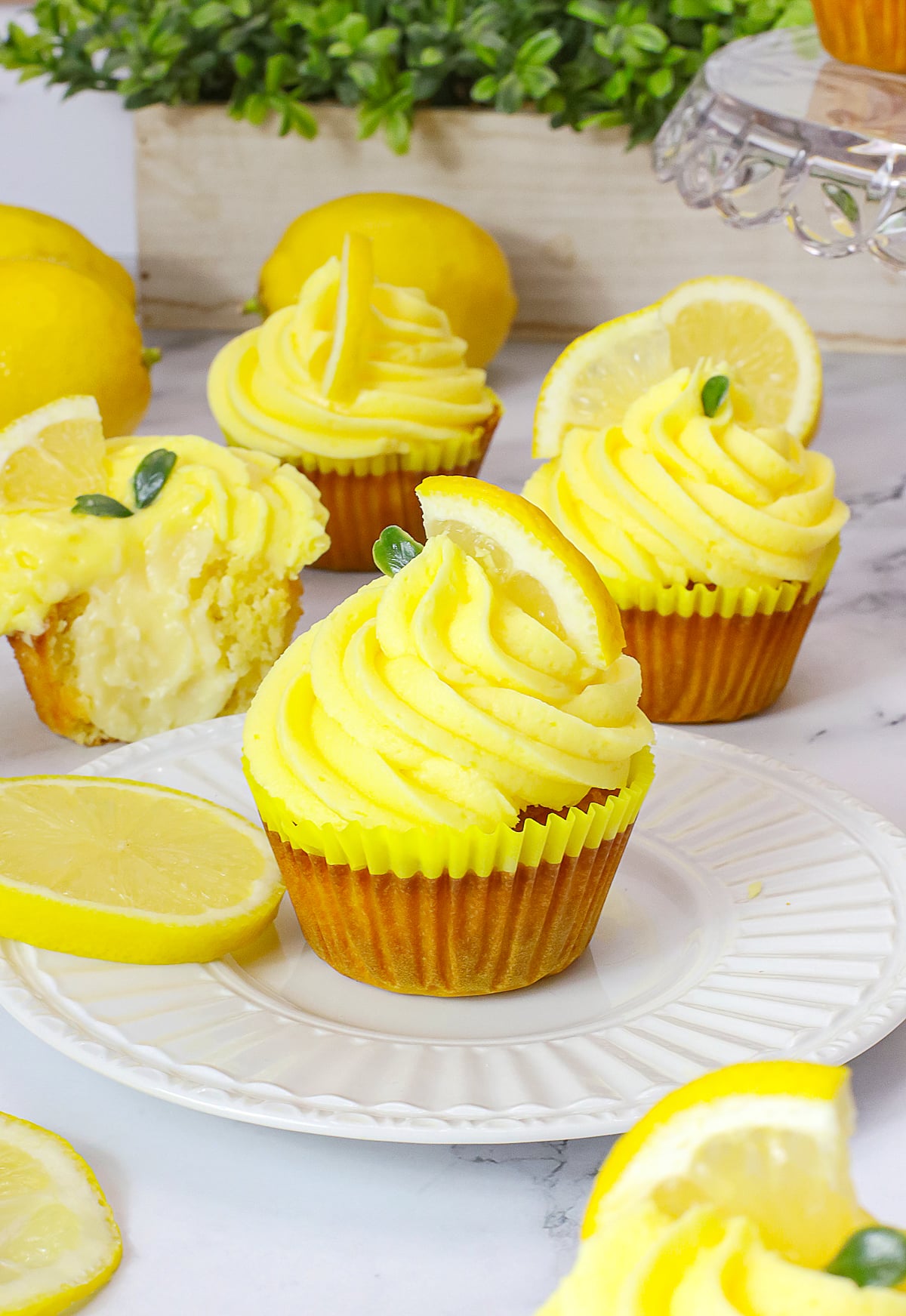 lemon cupcakes on white plate