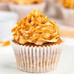 Biscoff cupcake with a tall cookie butter frosting swirl and Speculoos cookie crumbs on a white plate.