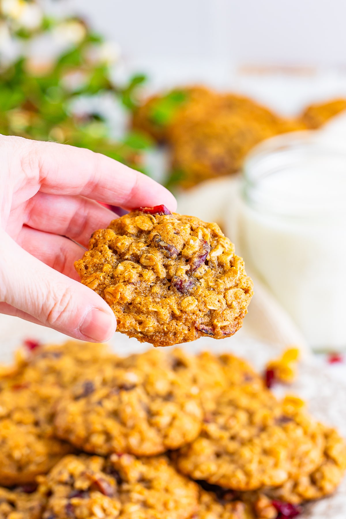 a hand holding up Cranberry Oatmeal Cookies in air