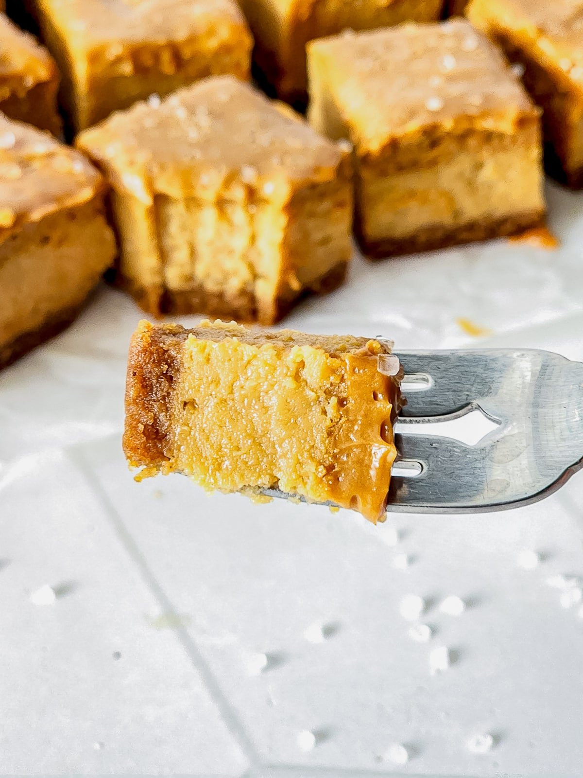 a fork holding a bite of Dulce de Leche Cheesecake in air