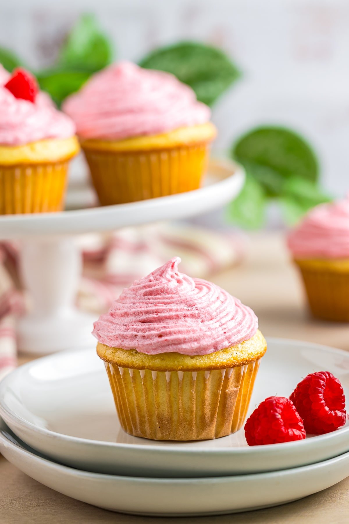 Raspberry Cupcakes on a white plate