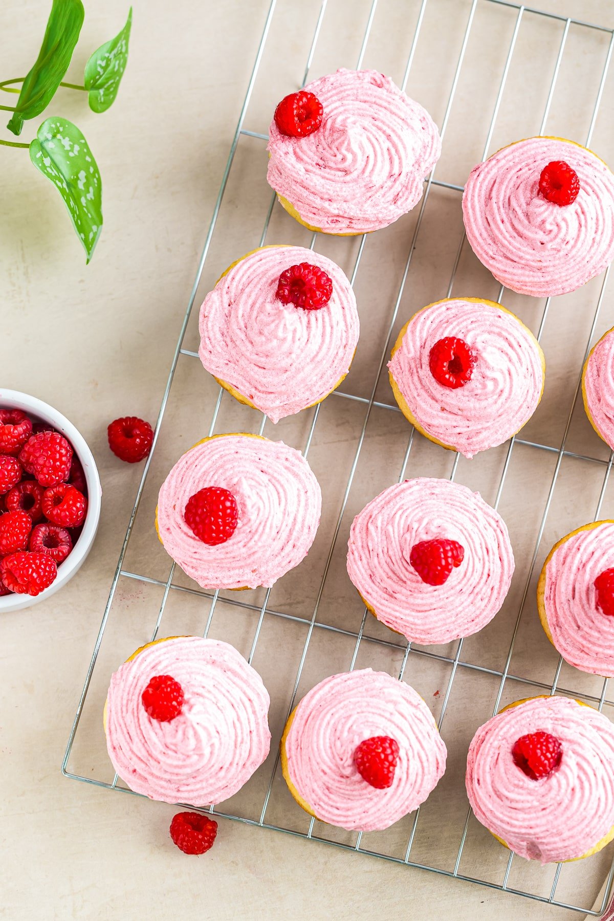 Raspberry Cupcakes on a wire rack overhead shot