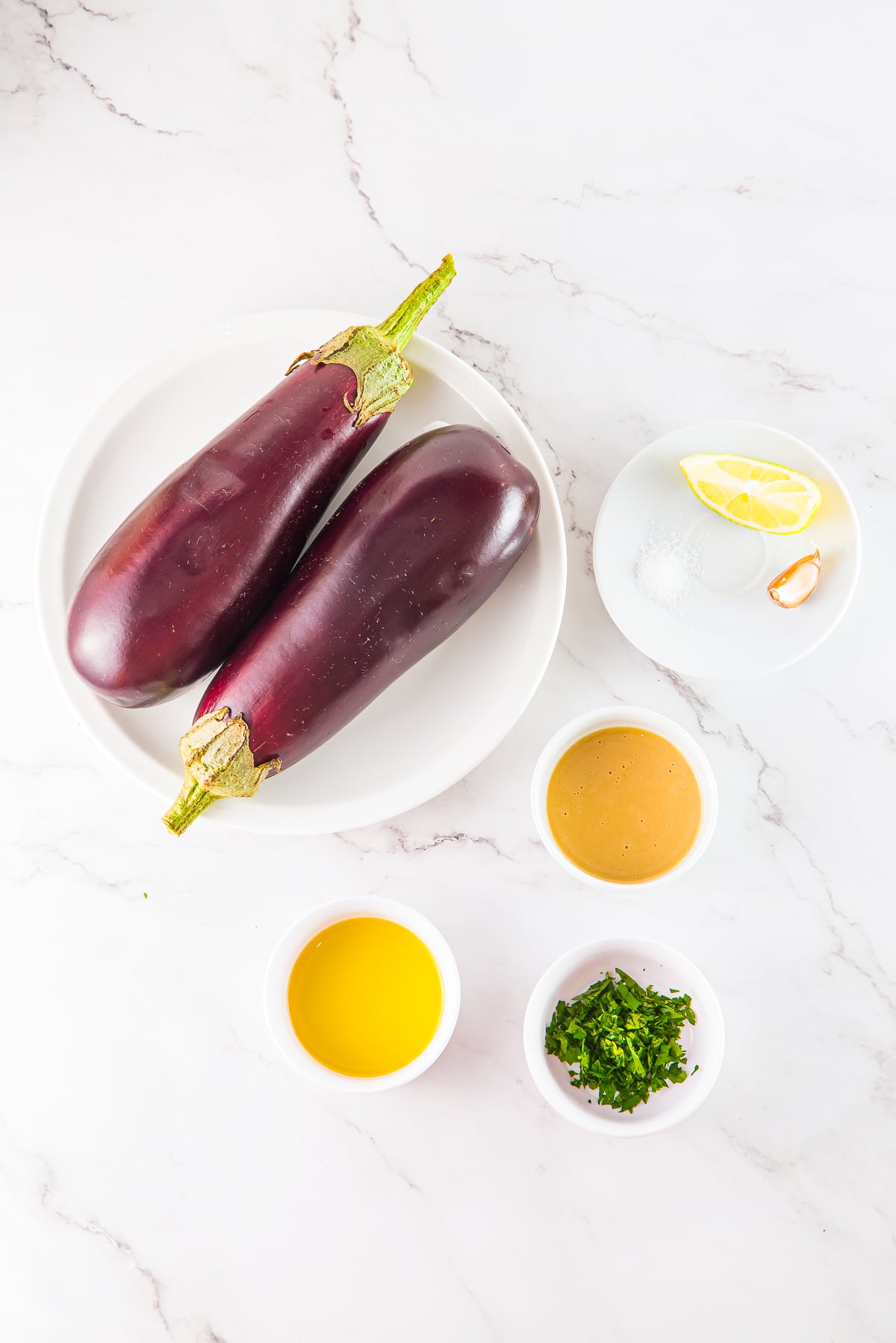 ingredients needed to make Baba Ganoush Recipe