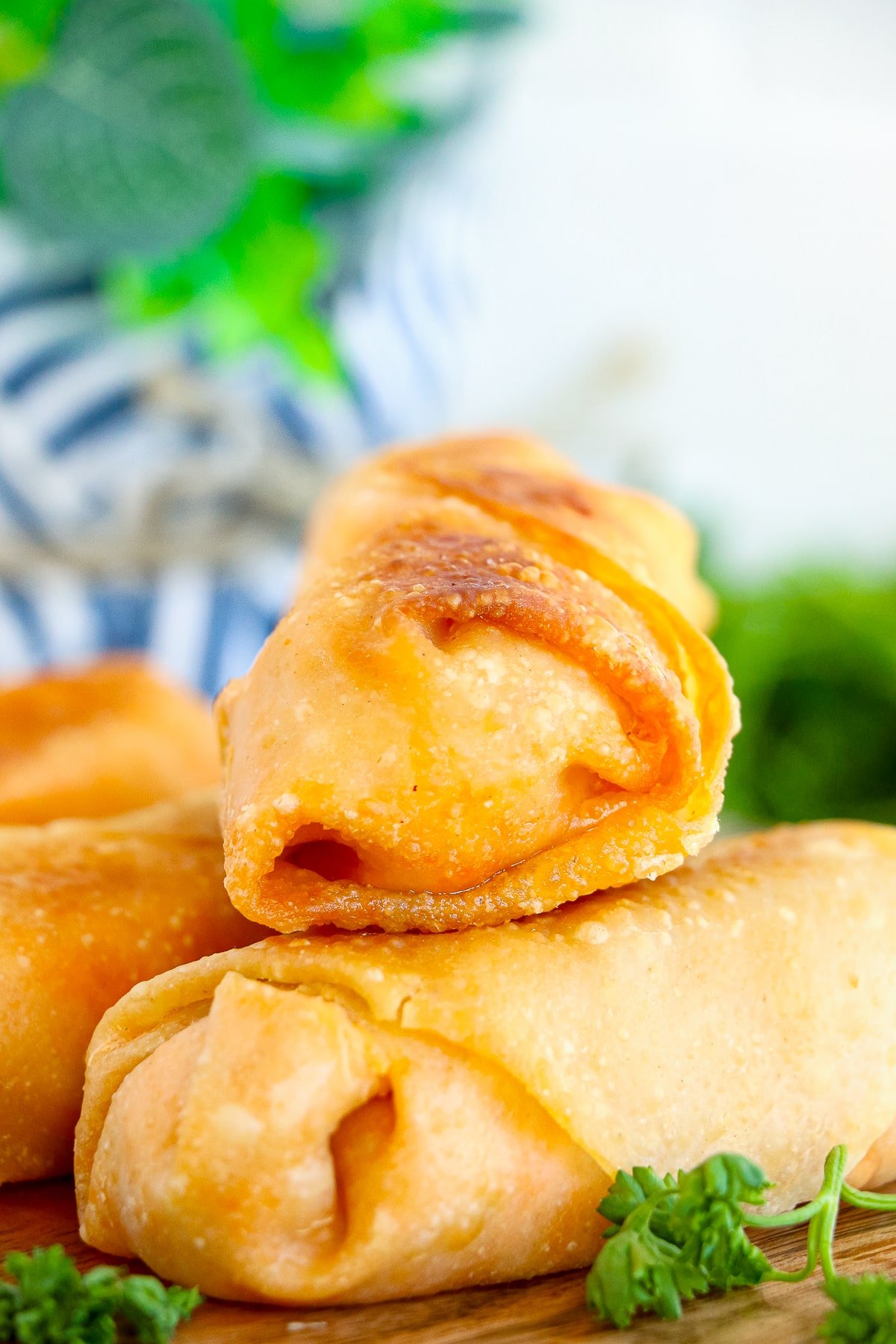 close up of Buffalo Chicken Egg Rolls with parsley