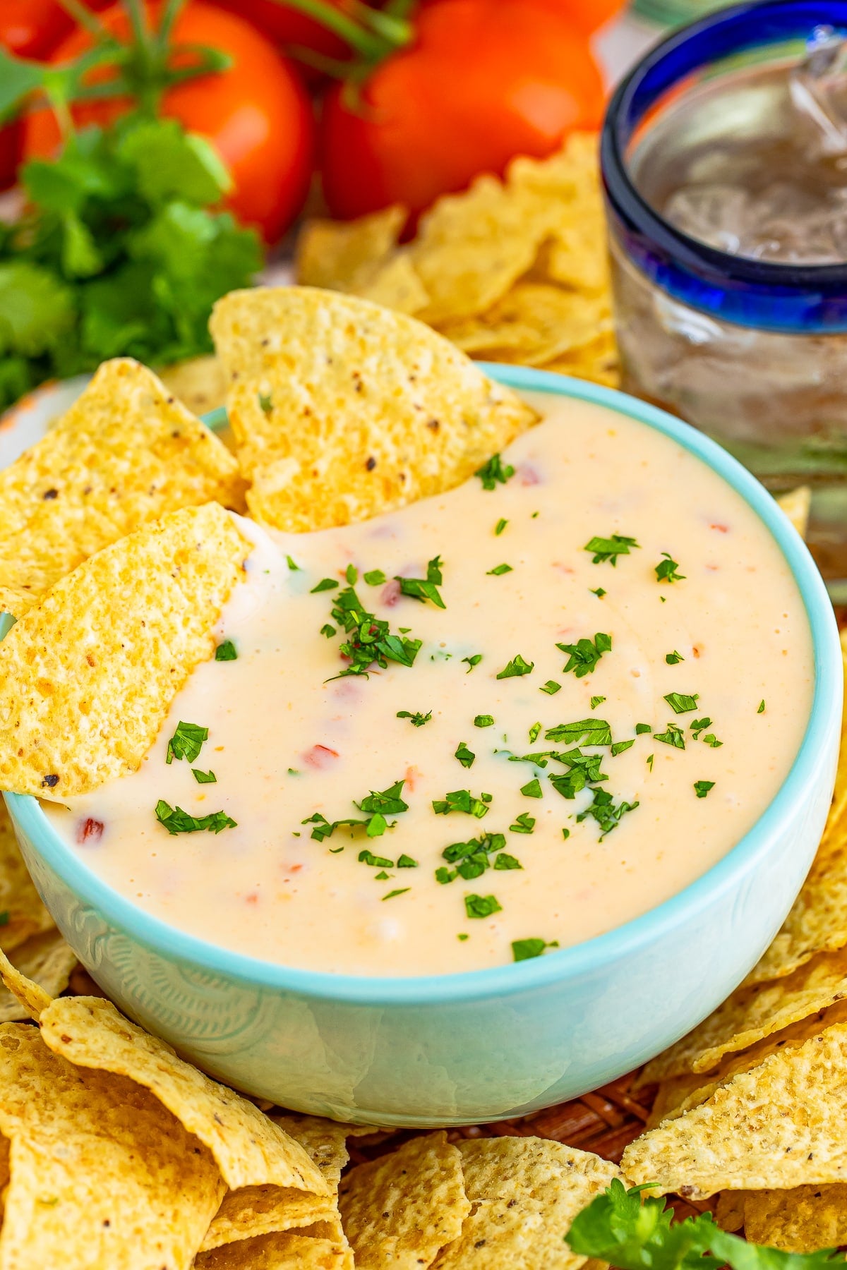 Queso Blanco Cheese Dip served in a bowl with cilantro and chips