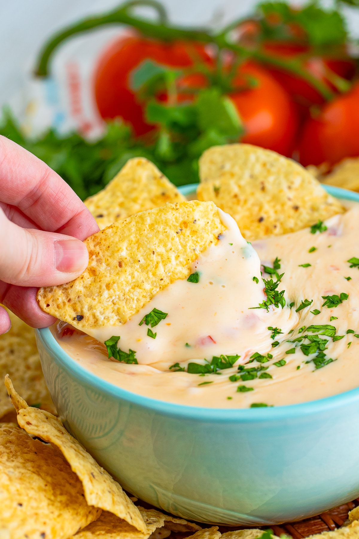 a hand dipping a chip into Queso Blanco Cheese Dip