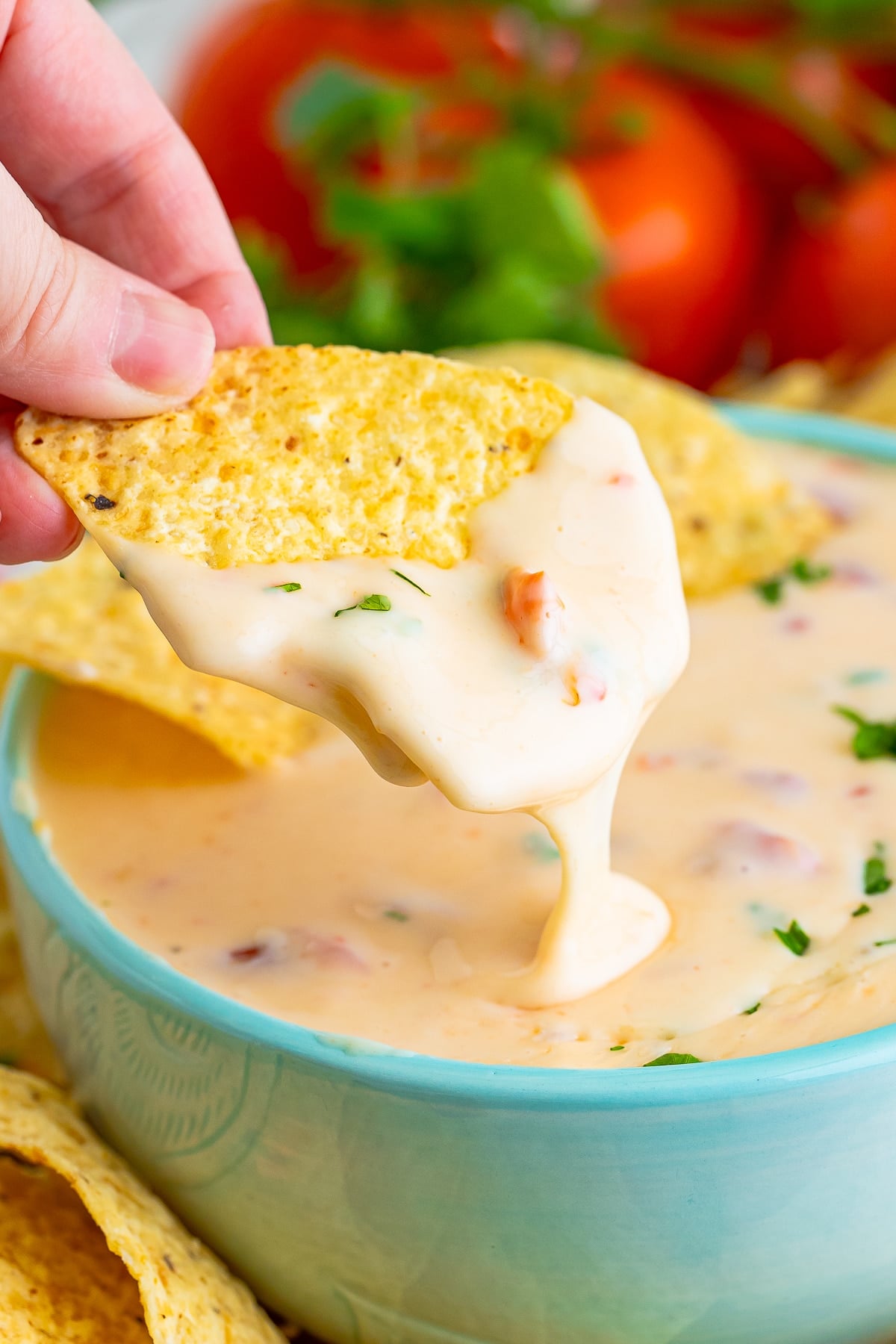 a hand holding a chip with Queso Blanco Cheese Dip on it in air