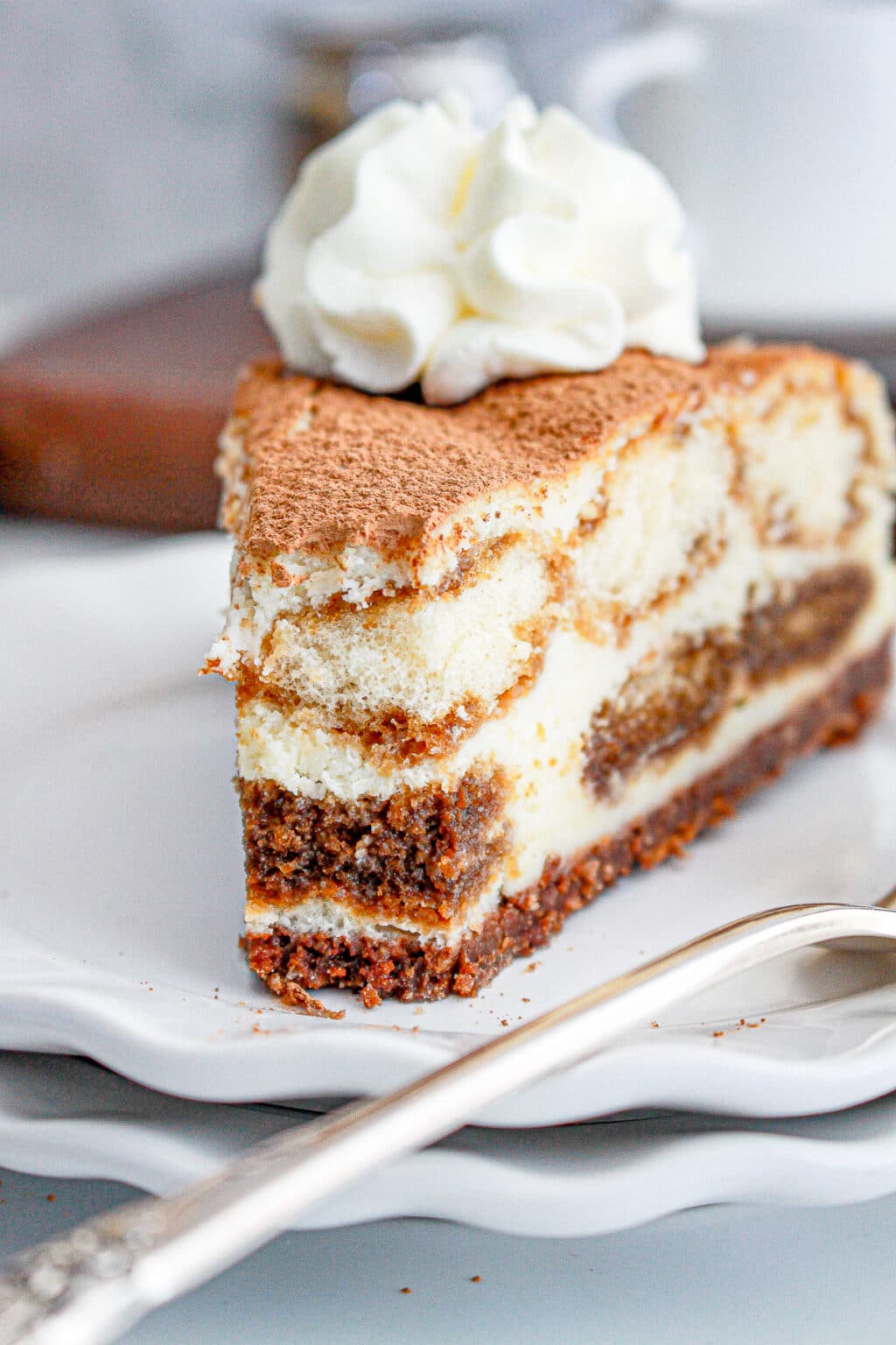 The Best Tiramisu Cheesecake Recipe This Silly Girl s Kitchen the-best-tiramisu-cheesecake-recipe-this-silly-girl-s-kitchen