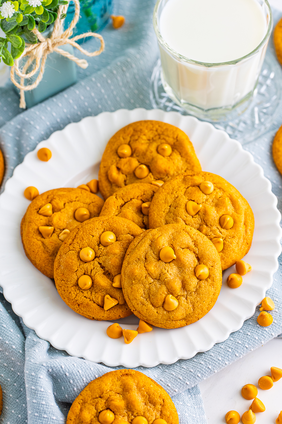 overhead image Butterscotch Cookies on a white plate
