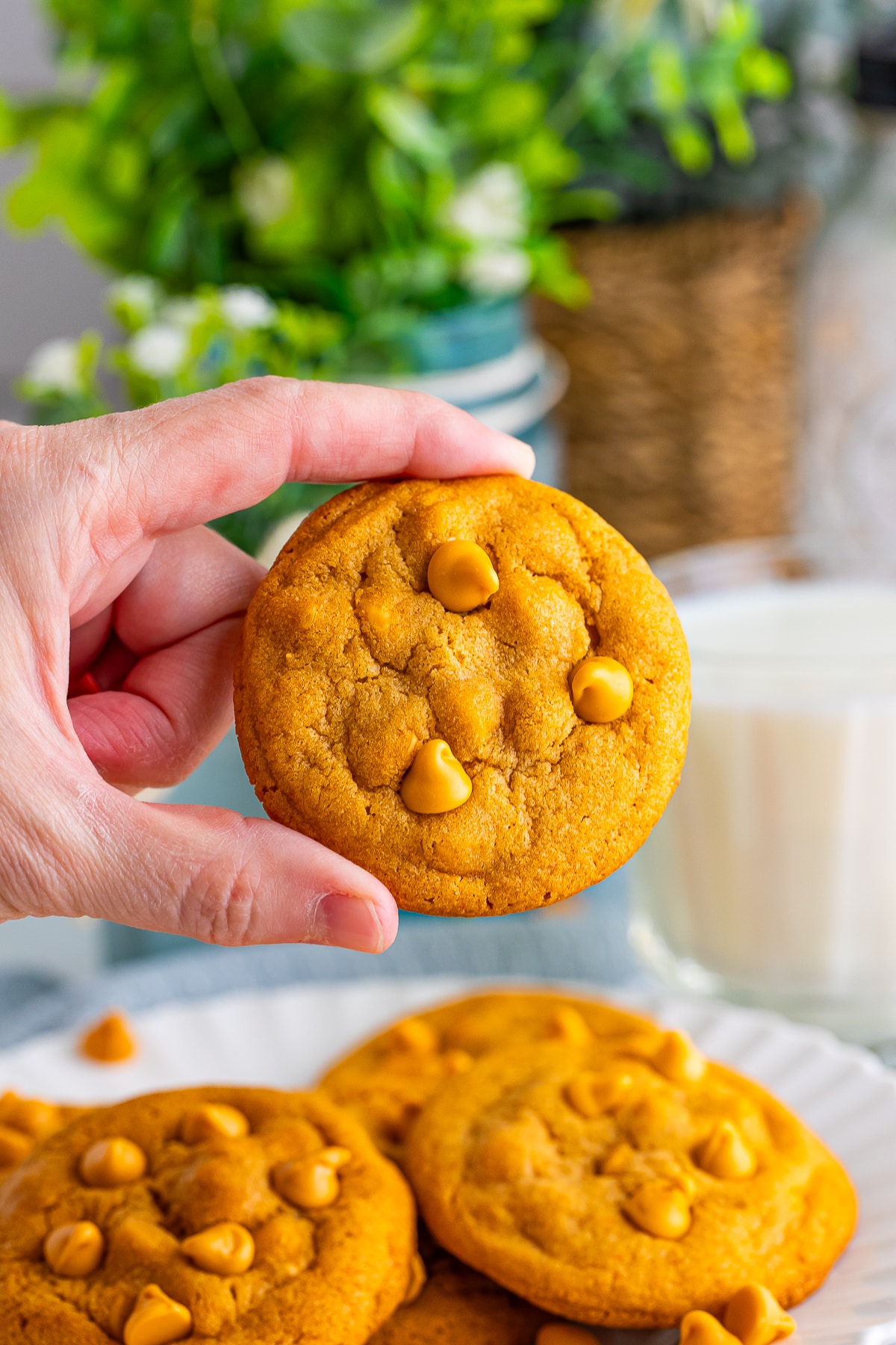 a hand holding up one Butterscotch Cookies in air