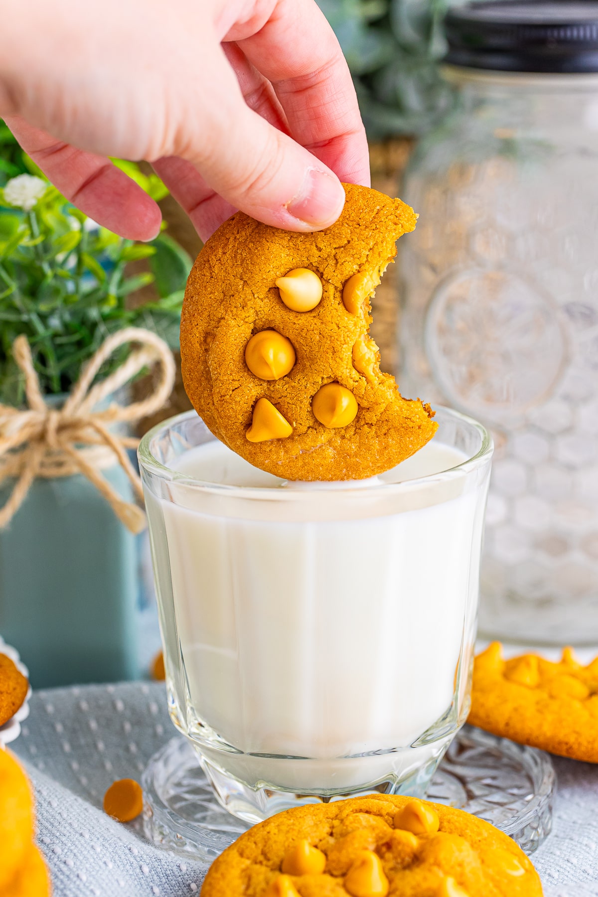 a hand dipping one Butterscotch Cookies in to a glass of milk